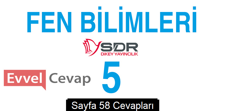 5. Sınıf Fen Bilimleri SDR Dikey Yayıncılık Ders Kitabı Cevapları Sayfa 58