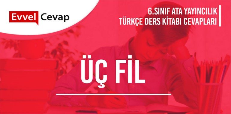 6. Sınıf Ata Yayıncılık Türkçe Ders Kitabı Cevapları Sayfa 150