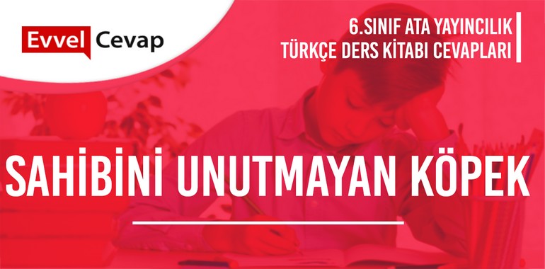 6. Sınıf Ata Yayıncılık Türkçe Ders Kitabı Cevapları Sayfa 28-29-30
