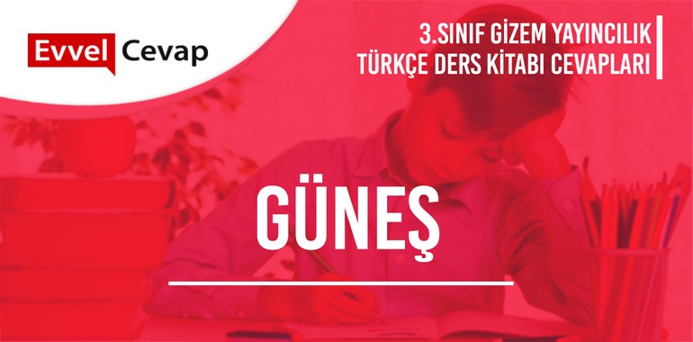 Güneş Serbest Okuma Metni Etkinlik Cevapları (3. Sınıf Türkçe)