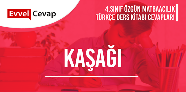 Kaşağı Serbest Okuma Metni Etkinlik Cevapları (4. Sınıf Türkçe)