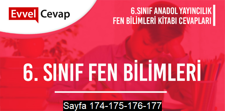 6. Sınıf Fen Bilimleri Ders Kitabı Anadol Sayfa 174-175-176-177 Cevapları