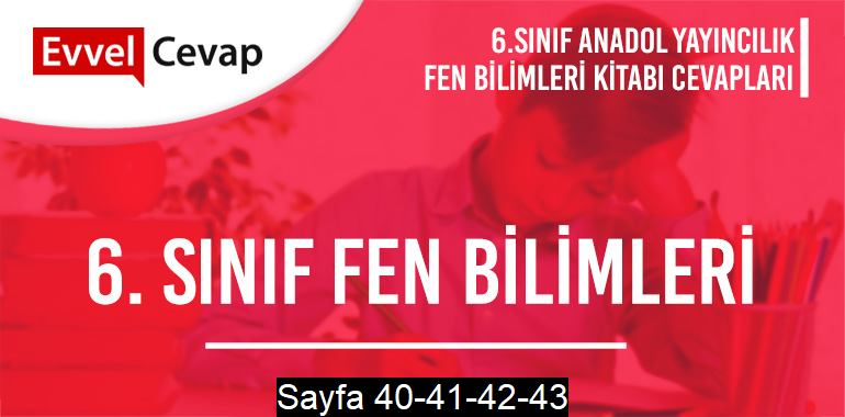 6. Sınıf Fen Bilimleri Ders Kitabı Anadol Sayfa 40-41-42-43 Cevapları