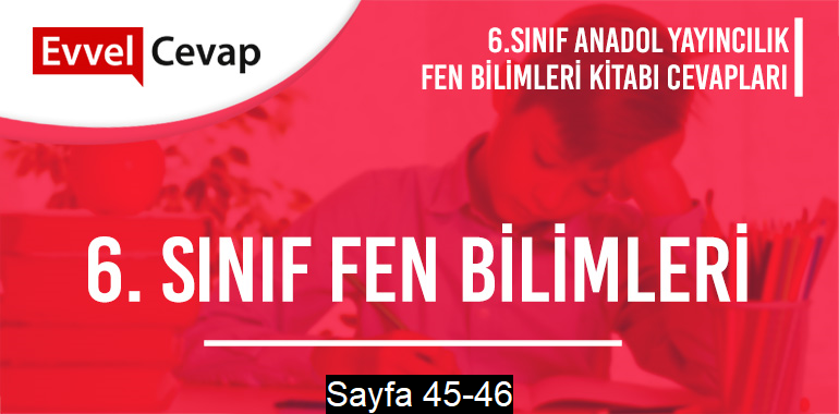 6. Sınıf Fen Bilimleri Ders Kitabı Anadol Sayfa 45-46 Cevapları