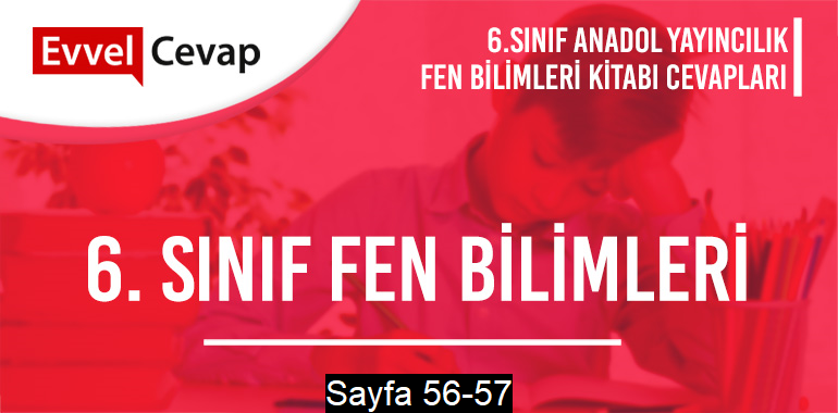 6. Sınıf Fen Bilimleri Ders Kitabı Anadol Sayfa 56-57 Cevapları