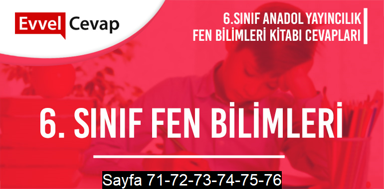 6. Sınıf Fen Bilimleri Ders Kitabı Anadol Sayfa 71-72-73-74-75-76 Cevapları