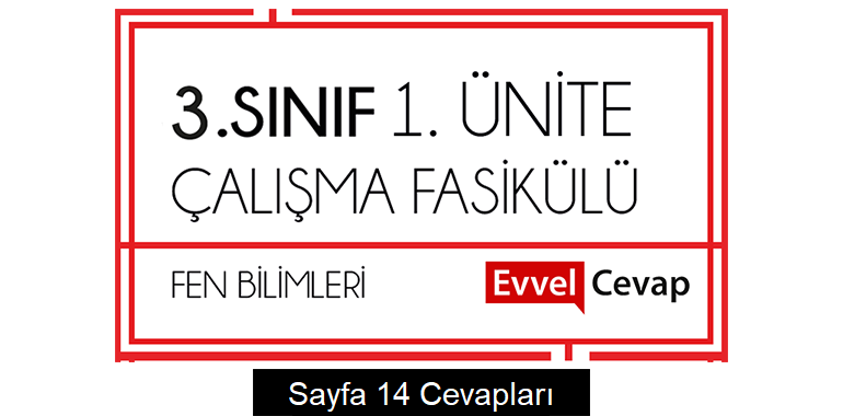 3. Sınıf Fen Bilimleri Çalışma Fasikülü 1. Ünite Cevapları Sayfa 14