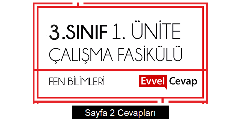 3. Sınıf Fen Bilimleri Çalışma Fasikülü 1. Ünite Cevapları Sayfa 2