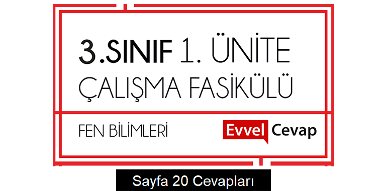 3. Sınıf Fen Bilimleri Çalışma Fasikülü 1. Ünite Cevapları Sayfa 20
