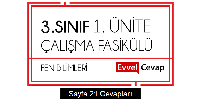 3. Sınıf Fen Bilimleri Çalışma Fasikülü 1. Ünite Cevapları Sayfa 21