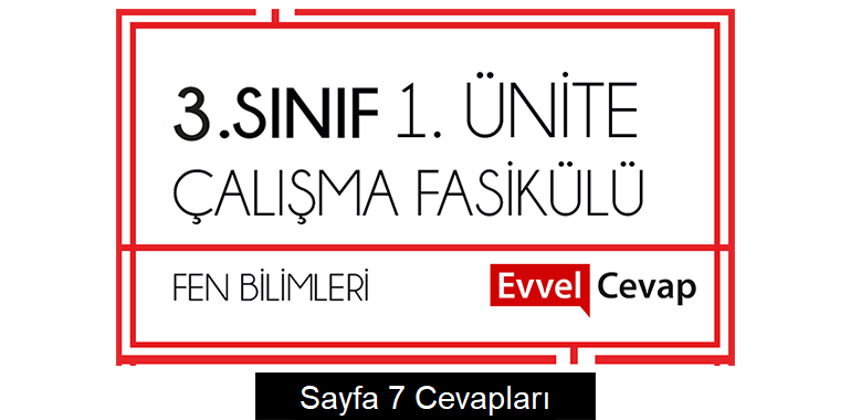 3. Sınıf Fen Bilimleri Çalışma Fasikülü 1. Ünite Cevapları Sayfa 7