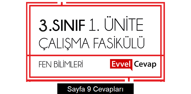 3. Sınıf Fen Bilimleri Çalışma Fasikülü 1. Ünite Cevapları Sayfa 9