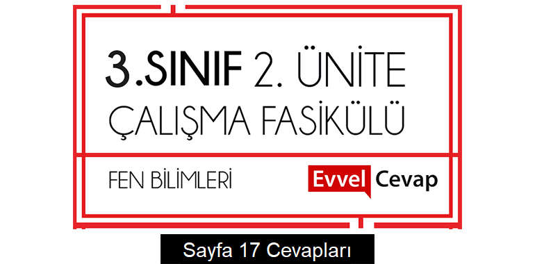 3. Sınıf Fen Bilimleri Çalışma Fasikülü 2. Ünite Cevapları Sayfa 17