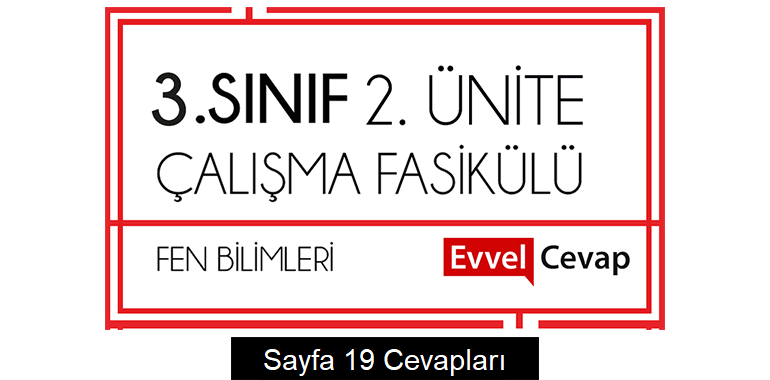 3. Sınıf Fen Bilimleri Çalışma Fasikülü 2. Ünite Cevapları Sayfa 19