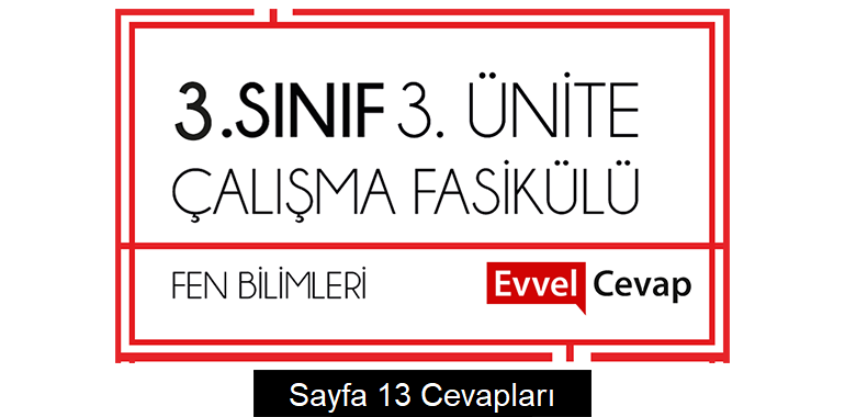 3. Sınıf Fen Bilimleri Çalışma Fasikülü 3. Ünite Cevapları Sayfa 13