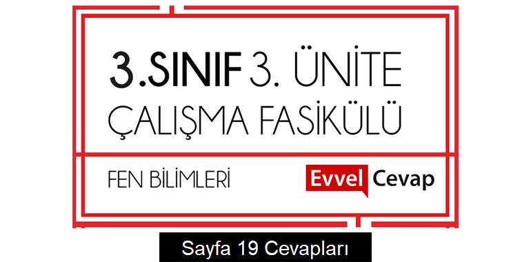 3. Sınıf Fen Bilimleri Çalışma Fasikülü 3. Ünite Cevapları Sayfa 19