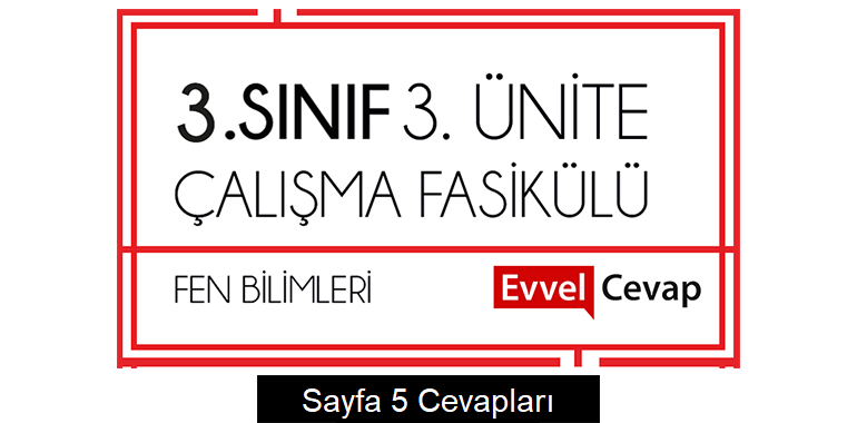 3. Sınıf Fen Bilimleri Çalışma Fasikülü 3. Ünite Cevapları Sayfa 5