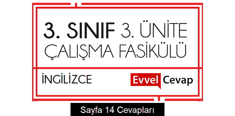 3. Sınıf İngilizce Çalışma Fasikülü 3. Ünite Cevapları Sayfa 14
