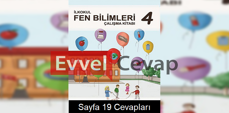 4. Sınıf Fen Bilimleri Çalışma Kitabı Meb Yayınları Cevapları Sayfa 19