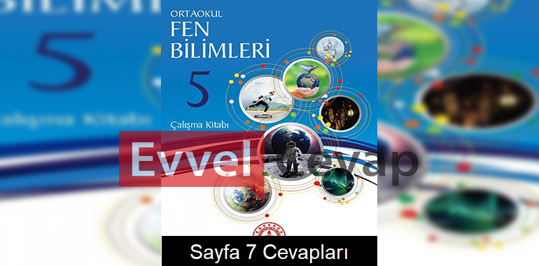 5. Sınıf Fen Bilimleri Çalışma Kitabı Cevapları Sayfa 7