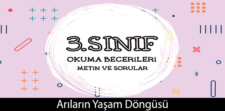 Arıların Yaşam Döngüsü Cevapları