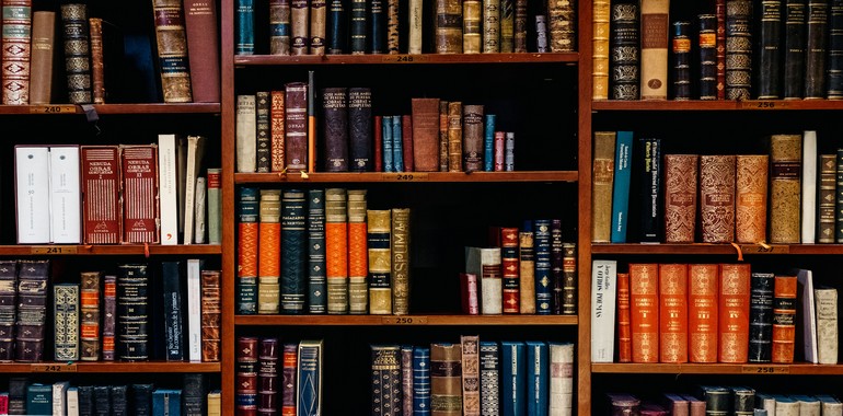Gelecekteki Mesleğim Kitap Editörü