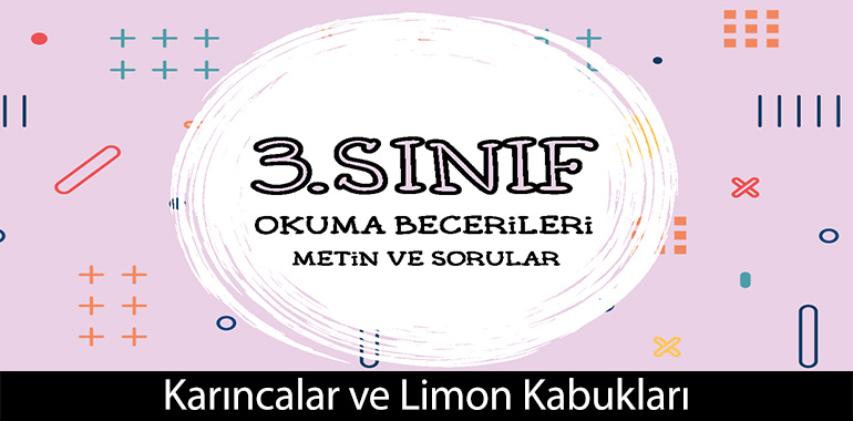 Karıncalar ve Limon Kabukları Cevapları