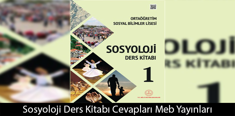 Metinde normların hangi yönlerine vurgu yapılmıştır?