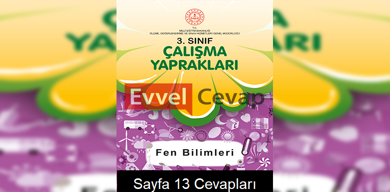 3. Sınıf Fen Bilimleri Çalışma Yaprakları Cevapları Aralık 2021 Sayfa 13