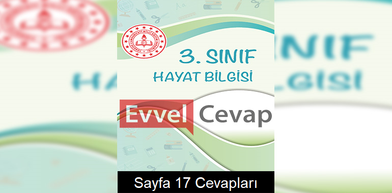 3. Sınıf Hayat Bilgisi Çalışma Soruları Cevapları Sayfa 17