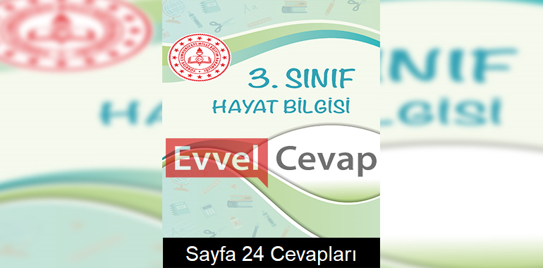 3. Sınıf Hayat Bilgisi Çalışma Soruları Cevapları Sayfa 24