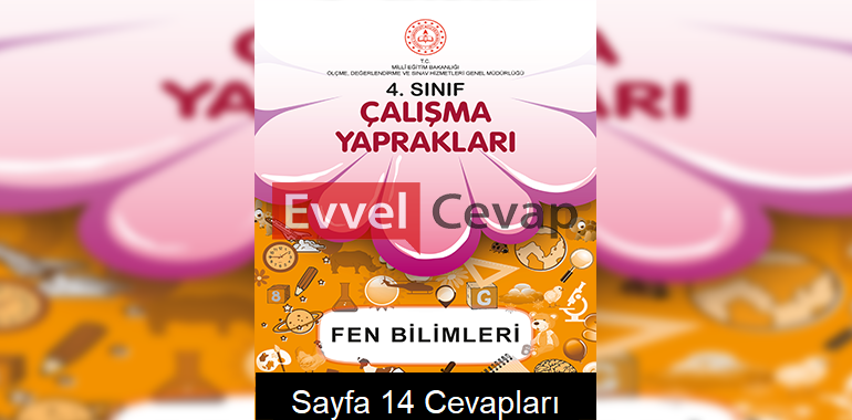 4. Sınıf Fen Bilimleri Çalışma Yaprakları Cevapları Şubat 2022 Sayfa 14