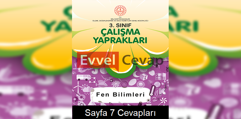3. Sınıf Fen Bilimleri Çalışma Yaprakları Cevapları Nisan 2022 Sayfa 7