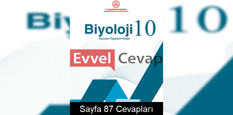 10. Sınıf Biyoloji Kavram Öğretimi Kitabı Cevapları Sayfa 87