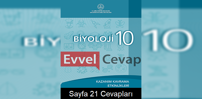 10. Sınıf Biyoloji Kazanım Kavrama Etkinlikleri Cevapları Sayfa 21