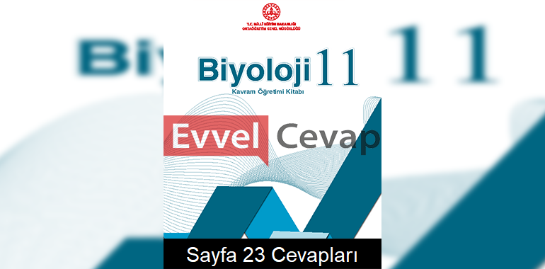 11. Sınıf Biyoloji Kavram Öğretimi Kitabı Cevapları Sayfa 23