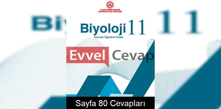 11. Sınıf Biyoloji Kavram Öğretimi Kitabı Cevapları Sayfa 80