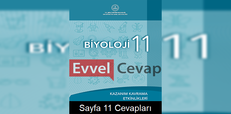 11. Sınıf Biyoloji Kazanım Kavrama Etkinlikleri Cevapları Sayfa 11