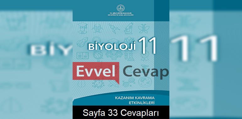 11. Sınıf Biyoloji Kazanım Kavrama Etkinlikleri Cevapları Sayfa 33