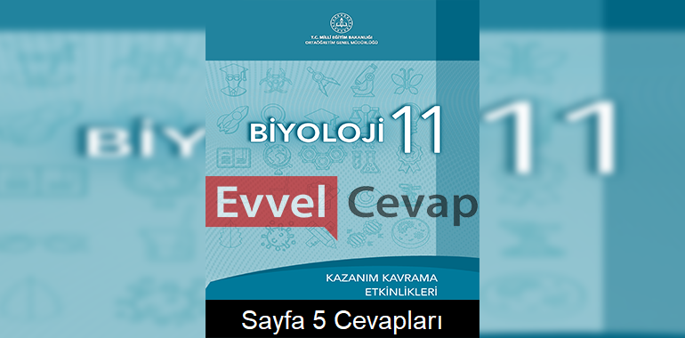 11. Sınıf Biyoloji Kazanım Kavrama Etkinlikleri Cevapları Sayfa 5