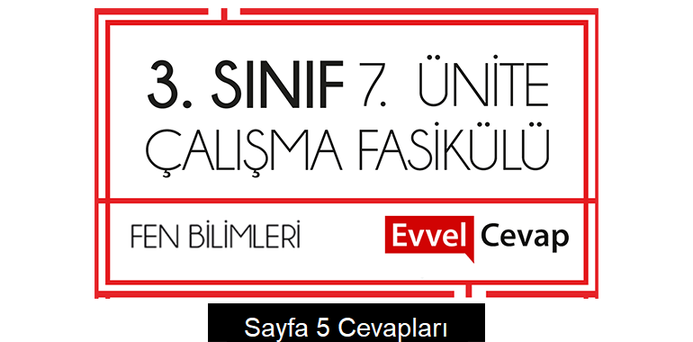 3. Sınıf Fen Bilimleri Çalışma Fasikülü 7. Ünite Cevapları Sayfa 5