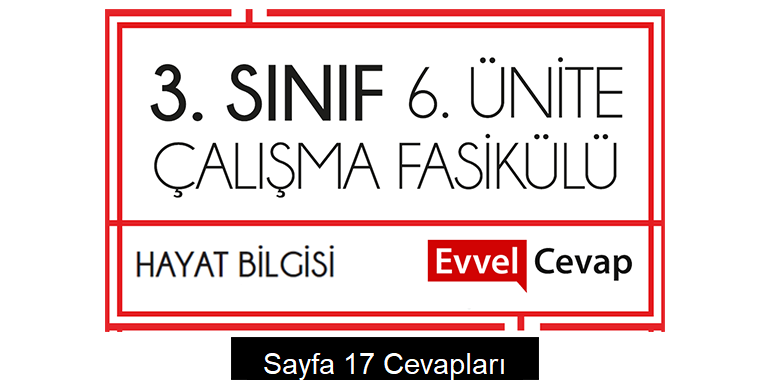 3. Sınıf Hayat Bilgisi Çalışma Fasikülü 6. Ünite Cevapları Sayfa 17