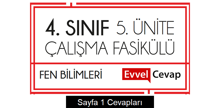 4. Sınıf Fen Bilimleri Çalışma Fasikülü 5. Ünite Cevapları Sayfa 1