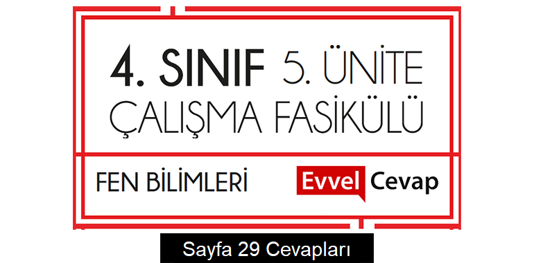 4. Sınıf Fen Bilimleri Çalışma Fasikülü 5. Ünite Cevapları Sayfa 29
