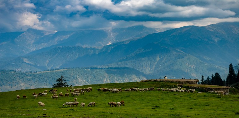 Sürdürülebilir Yaşam