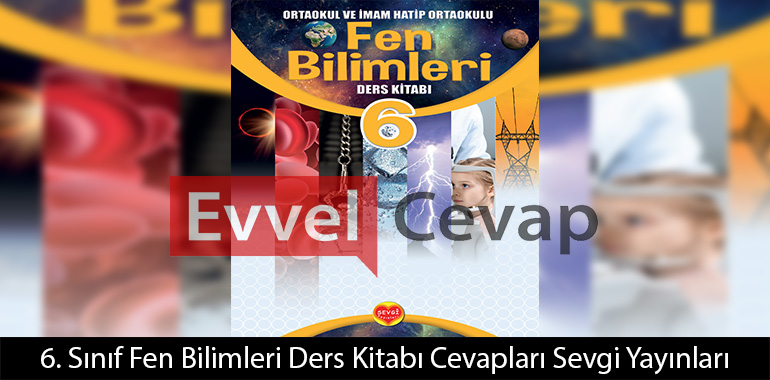Bir maddenin tadının algılanmasında maddenin kokusunun da rolü vardır. Doğru mu, Yanlış mı? Cevabı