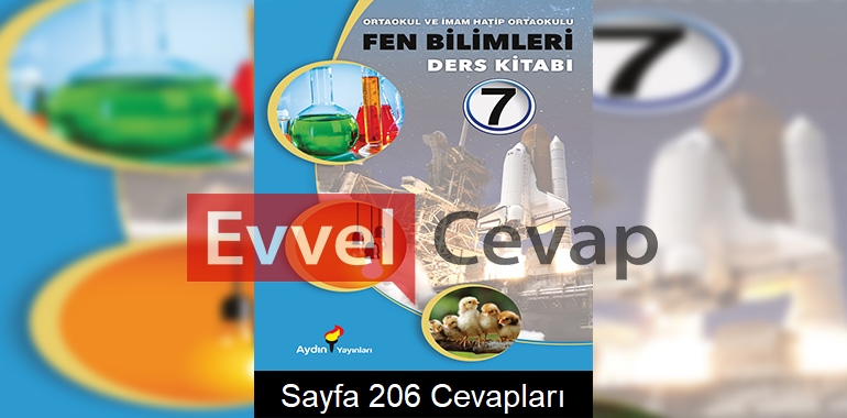 7. Sınıf Fen Bilimleri Ders Kitabı Cevapları Aydın Yayınları Sayfa 206