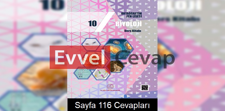 10. Sınıf Fen Lisesi Biyoloji Ders Kitabı Cevapları Sayfa 116