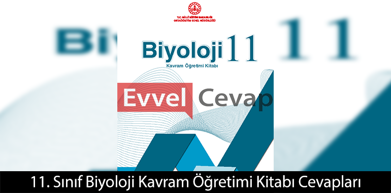 Omuriliğin ön köklerinde hasar meydana gelmesi durumunda vücutta ne gibi değişiklikler olabilir?