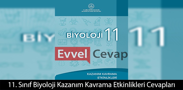 11. Sınıf Biyoloji Kazanım Kavrama Etkinlikleri Cevapları